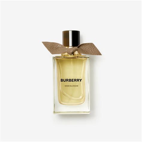 burberry snow blossom|Burberry signatures snow blossom.